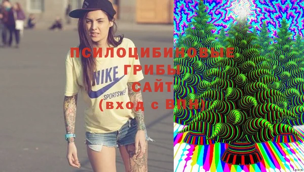 винт Алексеевка