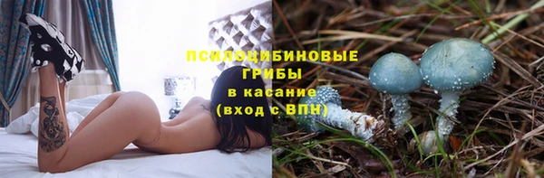 эйфоретик Алексин