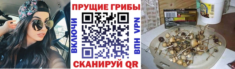 Псилоцибиновые грибы ЛСД  Ярцево 