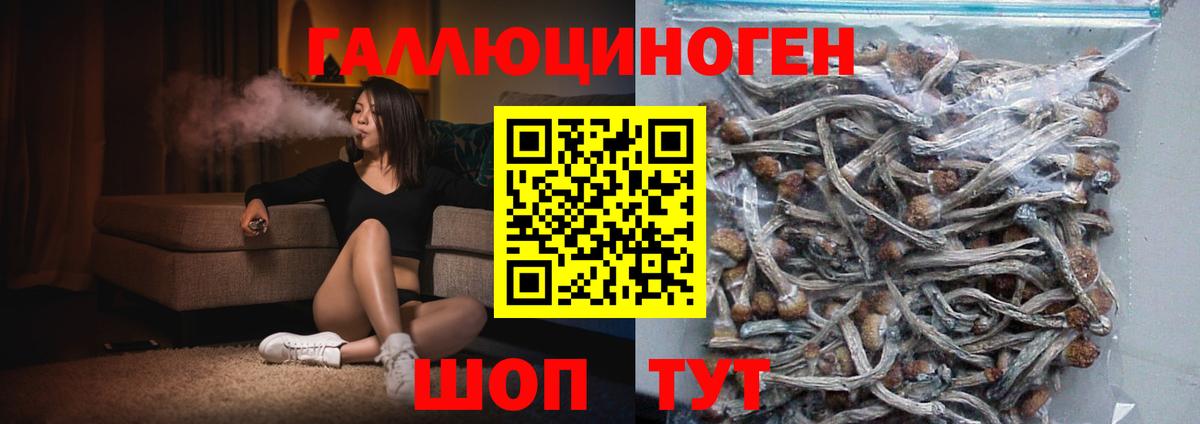 Ярцево  Псилоцибиновые грибы GOLDEN TEACHER  Вход с VPN 