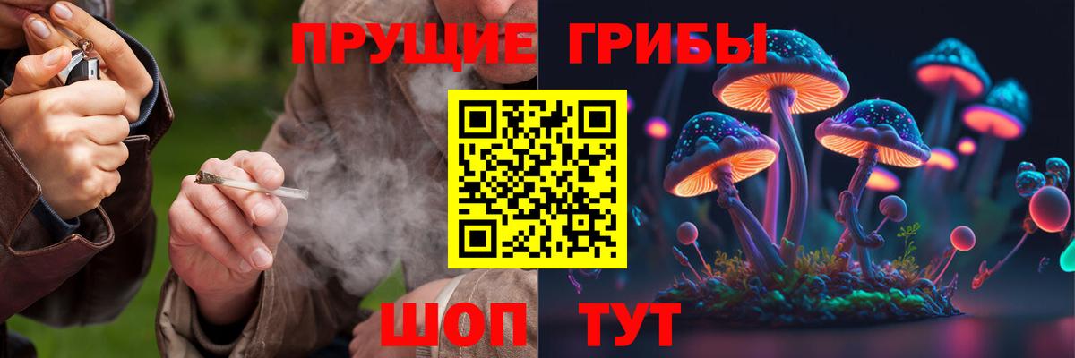 Псилоцибиновые грибы MAGIC MUSHROOMS Ярцево