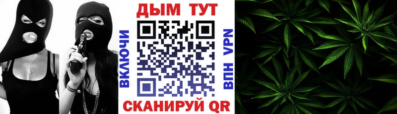 Конопля Bruce Banner  Ярцево 